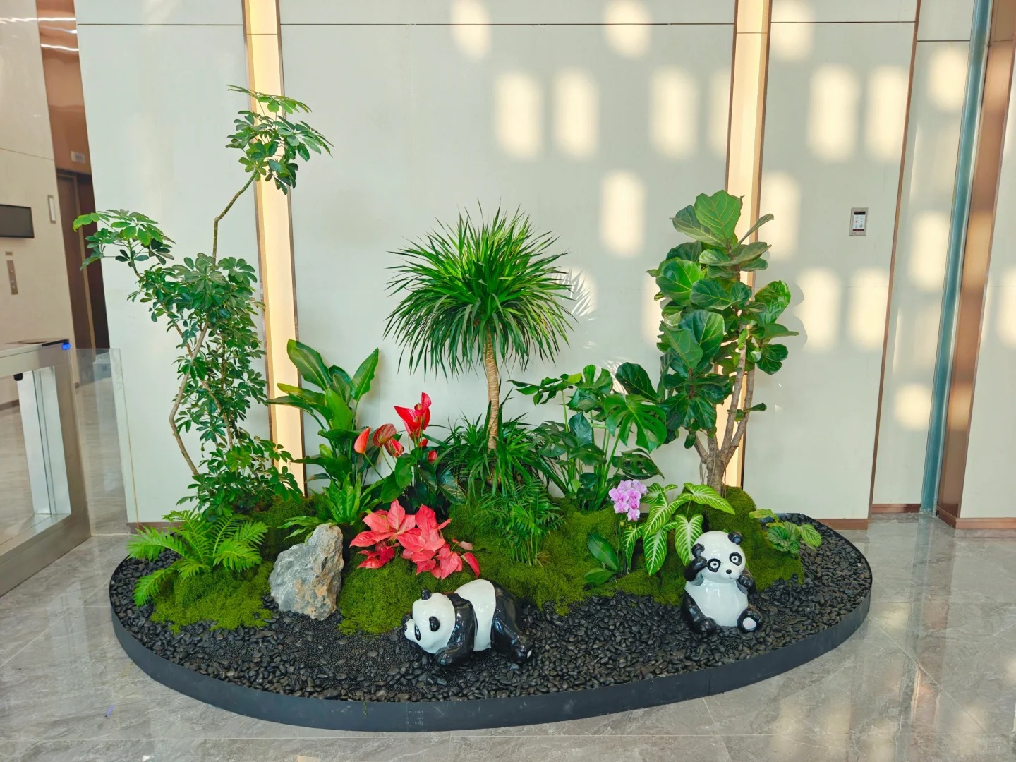 专业花卉出租，慈溪的绿植美化专家等你来选